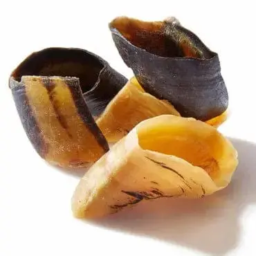 Sabot de Boeuf pour Chien